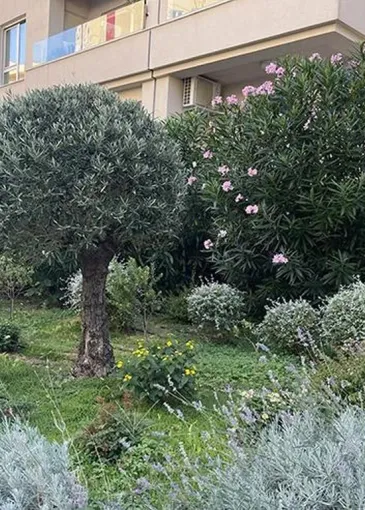 Daire satılık Bečići'de 