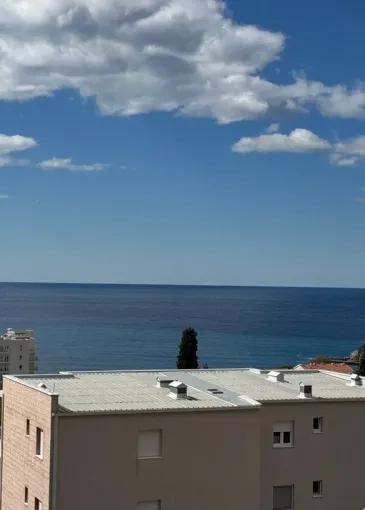 Apartment for sale in Petrovac