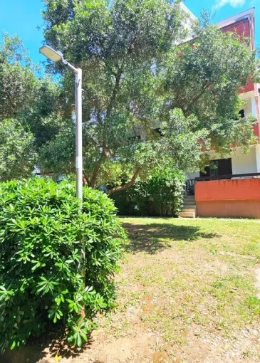 Apartment for sale in Budva