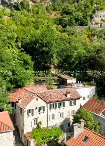 Apartment for sale in Kotor
