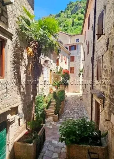 Apartment for sale in Kotor