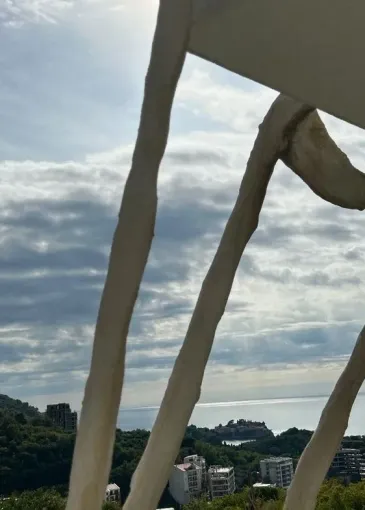 Apartment for sale in Pržno