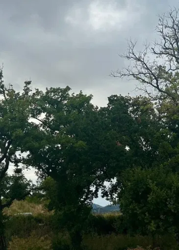 Apartment for sale in Pržno