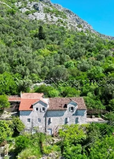 House for sale in Dražin Vrt