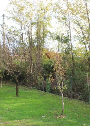 House for sale in Podgorica