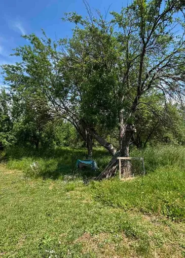 House for sale in Kosić