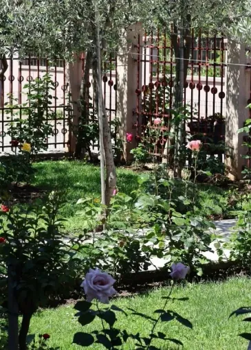 House for sale in Podgorica