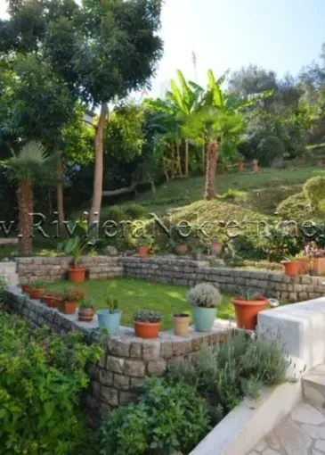 House for sale in Njivice