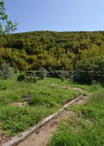 House for sale in Zelenika