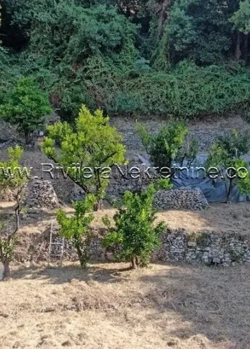 House for sale in Herceg Novi