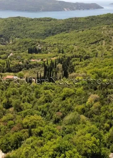 Land plot for sale in Sasovići