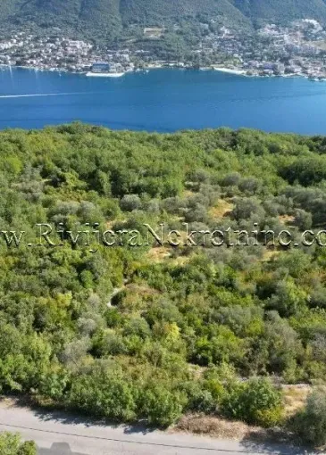 Land plot for sale in Radovići