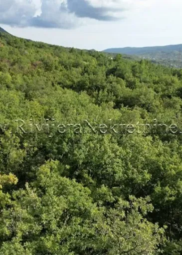 Land plot for sale in Dub