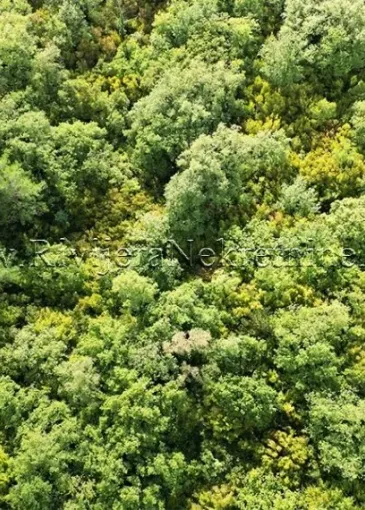 Land plot for sale in Dub