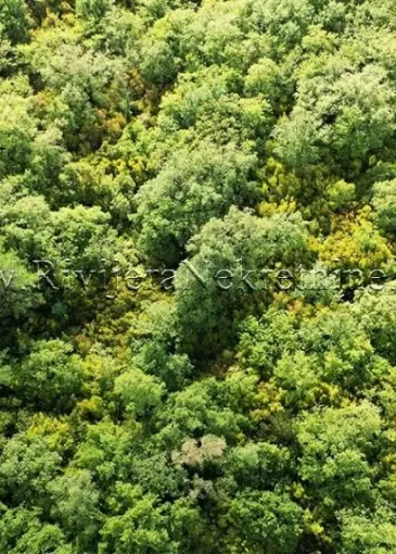 Land plot for sale in Dub