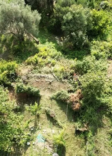 Land plot for sale in Dub