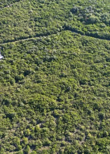 Land plot for sale in Zagora