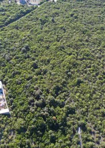 Land plot for sale in Zagora