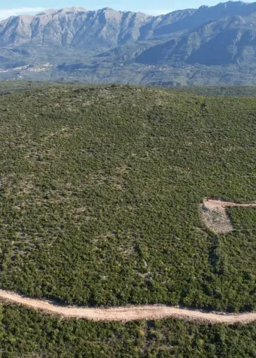 Land plot for sale in Zagora