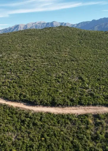 Land plot for sale in Zagora