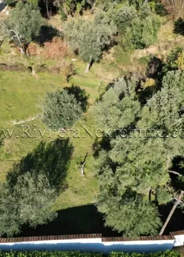 Land plot for sale in Baošići
