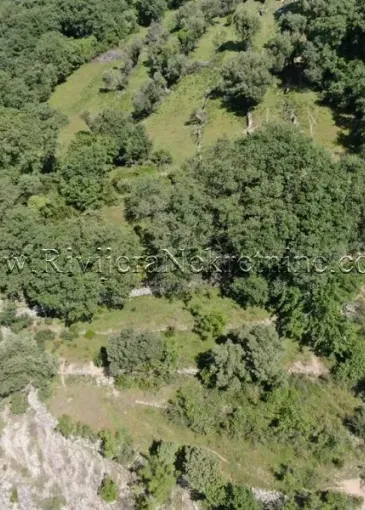 Land plot for sale in Sušćepan