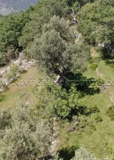 Land plot for sale in Sušćepan