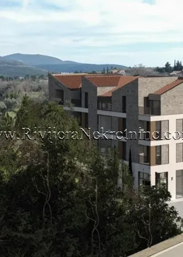 Proprietà in costruzione in vendita a Cartolle