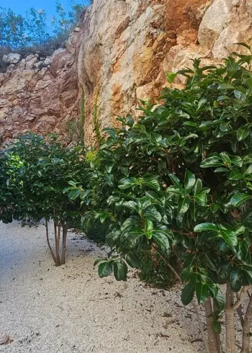 Property under construction for sale in Pržno