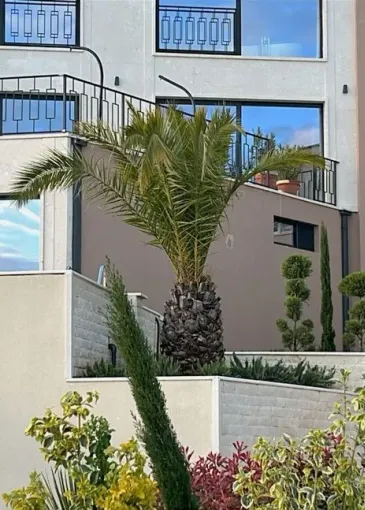 Villa for sale in Kuljače