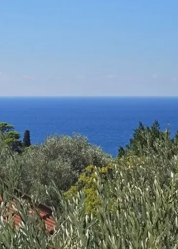 Villa en venta en Rijeka Reževići